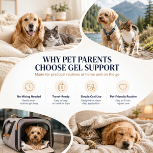 Gel de Carbón Activado para Mascotas de Alta Adsorción, para Perros y Gatos, Apoyo al Tracto Digestivo, Suplemento de Arcilla Bentonita de Marca Privada - Product Image 5