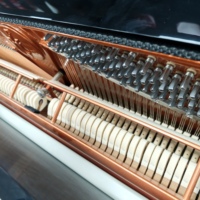 Feurich F122 Universal Series Upright Piano German Craftsmanship for Home Learning and Performance