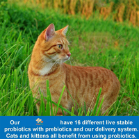 Poudre Probiotique VitaFit pour Animaux de Compagnie 228g en Gros, Marque Privée OEM, Poudre de Lait de Chèvre Entier Riche en Protéines pour la Santé Intestinale, la Peau et le Soin du Pelage