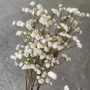 Real Touch Blanc Babysbreath <span class=keywords><strong>Gypsophile</strong></span> Artificielle <span class=keywords><strong>Mariage</strong></span> Fleurs Décoratives Plantes Bébé Souffle Branches - Product Image 1