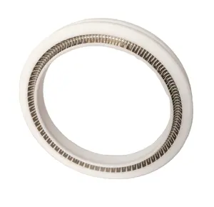 PTFE seal Energized Spring Seals hydraulic seal