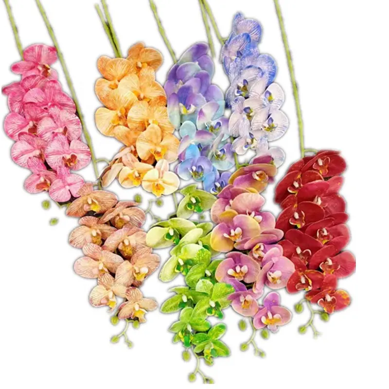 2024 nuevo diseño mariposa orquídea polilla Phalaenopsis planta 9 cabezas serie de colores arcoíris para decoración Floral