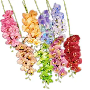 2024 새로운 디자인 나비 난초 나방 호접란 식물 9 머리 꽃 장식을위한 무지개 색 시리즈