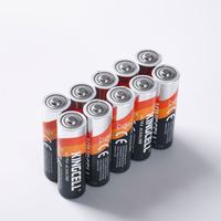 Pile alcaline AA LR6 haute performance pour télécommandes, appareils électroménagers et électronique grand public – Durée de vie de 10 ans