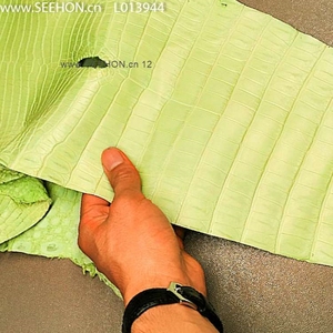 ผลิตภัณฑ์หนังจระเข้อเนกประสงค์ - Product Image 6