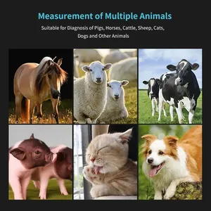 Escáner de Ultrasonido Veterinario Portátil GOYOJO para Perros, Gatos, Cerdos y Caballos - Máquina de Diagnóstico de Embarazo por Ultrasonido a Color OEM 110/220V - Product Image 6