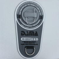 DAMA Drop Shipping Planches de planche à voile Sup Sail Wind Surf Boards Paddle Board à vendre