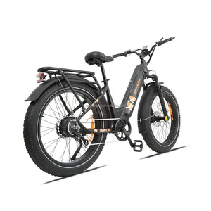 US Warehouse Only 2024 New Electric Bicycle 750 W 20inch Fat Tire Electric Bicycle Scooter 48v US 1000w 2" Electric Bicycle