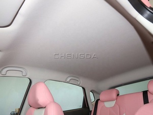 Neta V Lite Versión Chao 2022, Auto Eléctrico con 401 km de Autonomía - Product Image 5