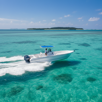 Bateau de pêche à console centrale en fibre de verre de 27 pieds avec moteur hors-bord de 85 à 115 CV à vendre
