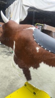 Juego de Toro Mecánico Eléctrico con Pelo de Toro Real, Juego Completo para Ferias y Exposiciones, con Tapete Inflable Impermeable de Fácil Limpieza