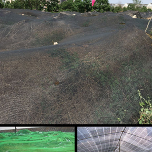 <span class=keywords><strong>Malla</strong></span> de <span class=keywords><strong>Sombra</strong></span> de Alta Calidad 40 70% 90% <span class=keywords><strong>Malla</strong></span> de <span class=keywords><strong>Sombra</strong></span> Agrícola de HDPE en Rollo <span class=keywords><strong>Precio</strong></span> <span class=keywords><strong>Malla</strong></span> de Sombreado para Invernadero - Product Image 5