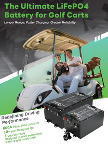 절삭 가장자리 LiFePO4 기술 유연한 치수 LiFePO4 51.2V 리튬 골프 카트 배터리 - Product Image 4