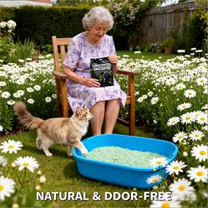 DongnaiPETS Litière pour chat biodégradable et écologique, à base de maïs et de charbon actif, jetable aux toilettes, sans poussière, agglomération rapide, sans obstruction, 2kg - Product Image 1