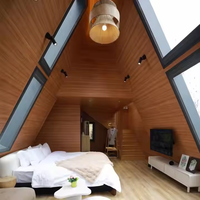 Villa de luxe moderne en structure préfabriquée en acier de type A, design de maison préfabriquée triangulaire
