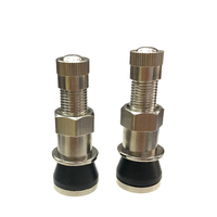 Tige de valve de pneu sans chambre à air TR416SS en métal pour voiture