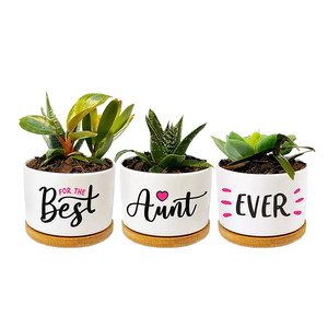 Soporte Grande para Plantas de Interior, Bandeja de Bambú, Mini <span class=keywords><strong>Maceta</strong></span> Suculenta de Cerámica, Bonita PARA EL Hogar, Jardín, Calienta tu Espacio Esta <span class=keywords><strong>Navidad</strong></span> - Product Image 2