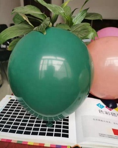 Globos de Látex al por Mayor, Globos de Látex de Eucalipto Blanco Arena de <span class=keywords><strong>Moda</strong></span>, Globos de Arena de Eucalipto - Product Image 2