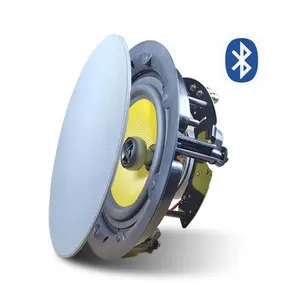 BS-55 5 "6.5" 8 "Magnet desain tanpa bingkai suara HiFi dengan Bass nirkabel gigi biru dalam sistem speaker langit-langit dengan Amplifier