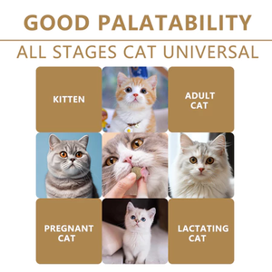 חלבון גבוה עוף ללא תבואה ללא תבואה כדי למקסם חומרים מזינים מזון יבש חתולים - Product Image 2