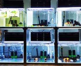 Support d'armoire en aluminium pour aquarium - Product Image 5