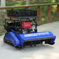 Tondeuse à gazon RC avec logo personnalisé pour les chaînes de vente de matériel de jardinage et les vendeurs en ligne – Tondeuse à fléaux