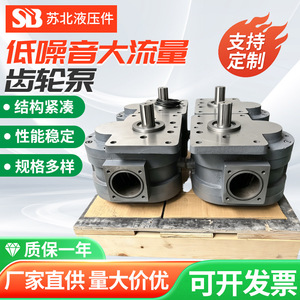 Pompe hydraulique à engrenages série DCB-B du Jiangsu du Nord, 1000 Lpm, haute pression, corps en fonte, engrenages en acier 40Cr - Product Image 5