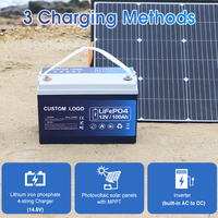 Baterai Lifepo4 Lithium Ion 12v 100ah 200ah 300ah untuk Penyimpanan Energi Rumah Tangga Tenaga Surya dan Cadangan Daya