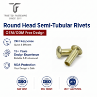 Rivets semi-tubulaires à tête ronde personnalisés TianFang pour la production OEM de tôles, en titane poli, contrôle ISO9001, tailles sur mesure