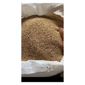 Grande qualité, produits agricoles exceptionnels, graines de sésame blanc du Burkina Faso en vrac - Product Image 1