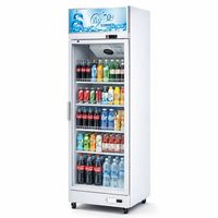 Réfrigérateur commercial vertical à double porte vitrée avec éclairage LED pour boissons, idéal pour les cafés