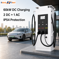 Chargeur EV DC 60 kW, chargeur DC 60 kW extérieur, connecteur double GBT CCS2, station publique intelligente