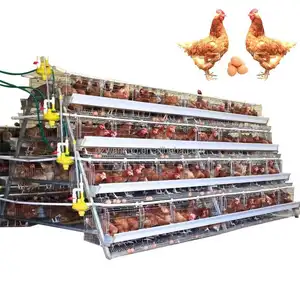 Birds Layer Poultry Battery Chicken Cages Industrial Chicken Coop A Type Layer Cage