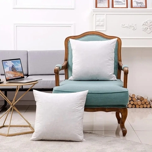 Taille personnalisée de luxe pour la décoration intérieure oreiller de canapé <span class=keywords><strong>petits</strong></span> <span class=keywords><strong>coussins</strong></span> carrés en satin en plumes de canard - Product Image 5