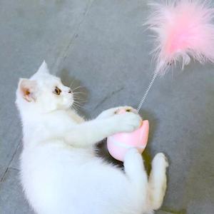 Hot Selling High Quality Funny Cat Face Tumbler With Feather Cat Teaser Interactive Movement <b>Pet</b> <b>Toys</b> Relieve Boredom Cat <b>Toys</b> - Product Image 2