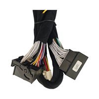 Arnés de Cableado para Amplificador DSP de Coche con Aislamiento de PVC y Cobre Estañado para Modelos Mercedes-Benz Clase B/Clase C, Audi A3/TT/A6