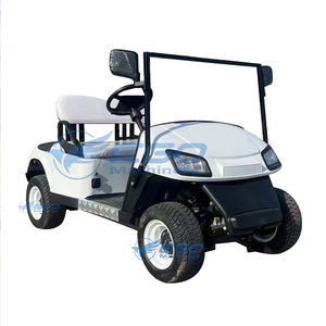 Carritos de Golf Eléctricos Económicos 2026 de 2/4/6/8 Plazas en Venta con Características Personalizadas, Vehículo Eléctrico/Golf Eléctrico/Sight - Product Image 4