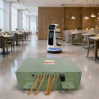 Paquete de Baterías LiFePO4 de 36V 80Ah para Robots de Hotel, Batería de Litio Ferrofosfato de Alta Potencia para Robots Inteligentes, Personalización OEM, Venta al Por Mayor