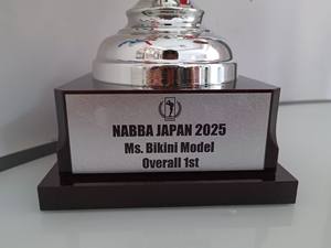 3 फीट बड़ी सिल्वर गोल्ड प्लेटेड ट्रॉफी फुटबॉल ट्रॉफी कप स्मृति चिन्ह - Product Image 6