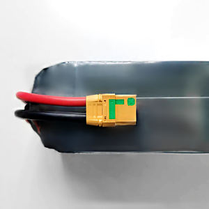 Batterie Lipo Popolari 16ah 22.2v 6s Batteria 16000mah agli Ioni di Litio a Stato Solido per Droni VTOL - Product Image 4