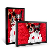 21.5 zoll indoor wand halterung digital signage kleine größe LCD werbung video oder bild display bildschirm