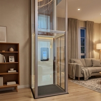 Ascensore Residenziale Personalizzato per Interni, Elevatore Domestico a 3 Piani con Porta Automatica per Interni ed Esterni, Ascensore per Villa Residenziale