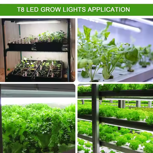 T8 LED Quang Phổ Đầy Đủ Phát Triển Đèn 60Cm/90Cm/120Cm Nhà Máy Trong Nhà Phát Triển Ánh Sáng Cho Rau Hoa Đánh Fruits-IP65 - Product Image 2