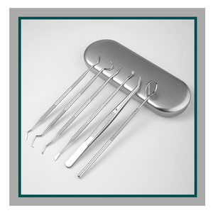 6 raschietto per denti in acciaio inossidabile/strumento per la pulizia dei denti e set di strumenti orali orali - Product Image 6