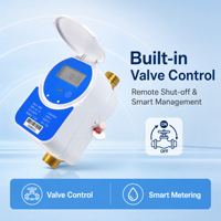 Compteur d'eau intelligent à ultrasons IP68 avec vanne en laiton DN15 DN20 NB-IoT RS485 Modbus LoRaWAN sans fil AMR