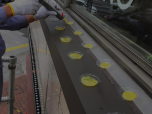 Repelente de aves profesional de larga duración, Gel repelente de aves, venta directa de fábrica, al por mayor - Product Image 2