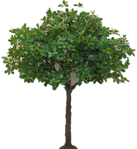 <span class=keywords><strong>Arbre</strong></span> <span class=keywords><strong>artificiel</strong></span> en bois écologique de 2 m de hauteur, type banyan, pour la décoration intérieure, couleur personnalisée, haute qualité - Product Image 5