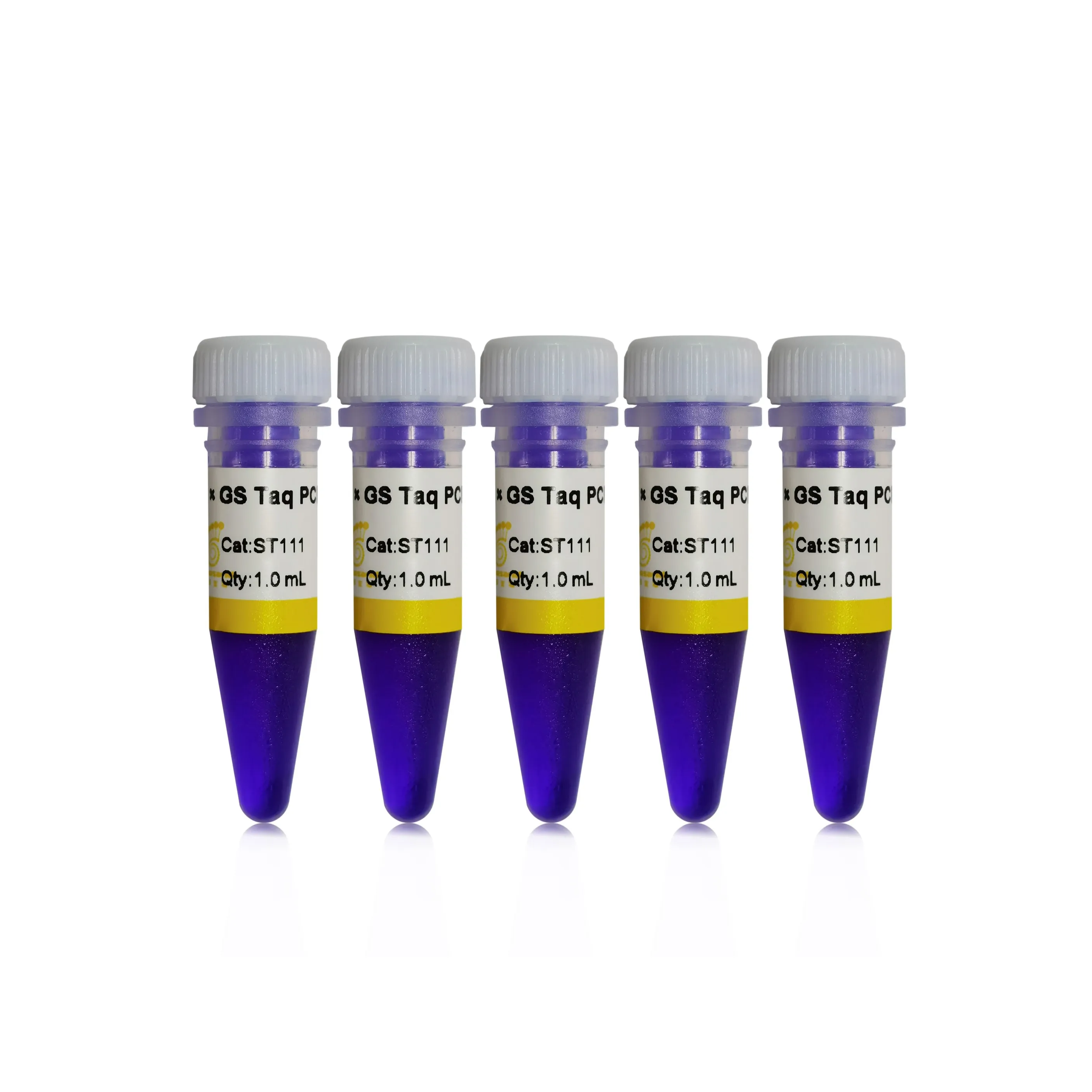 2xGS Taq PCR Mix con ad alta purezza GS Taq DNA polimerasi Taq PCR Mix per clonazione TA