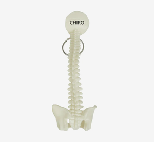 Porte-clés personnalisé <span class=keywords><strong>en</strong></span> forme de colonne vertébrale et de bassin, <span class=keywords><strong>cadeau</strong></span> promotionnel avec impression de logo <span class=keywords><strong>pour</strong></span> étudiant <span class=keywords><strong>en</strong></span> médecine, chiropraticien, <span class=keywords><strong>cadeau</strong></span> de remise de diplôme - Product Image 2