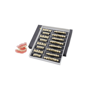Dientes de Resina Acrílica Sintética Anteriores Superiores de Dos Capas con Certificación CE/ISO en Múltiples Tonos - Product Image 1